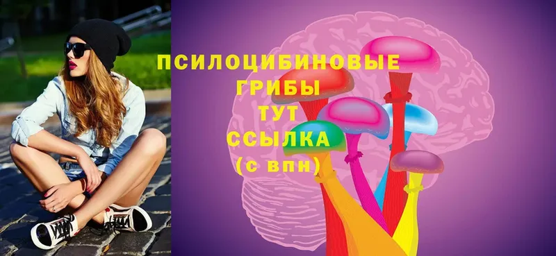 купить   кракен   Галлюциногенные грибы Psilocybe  Дальнереченск 